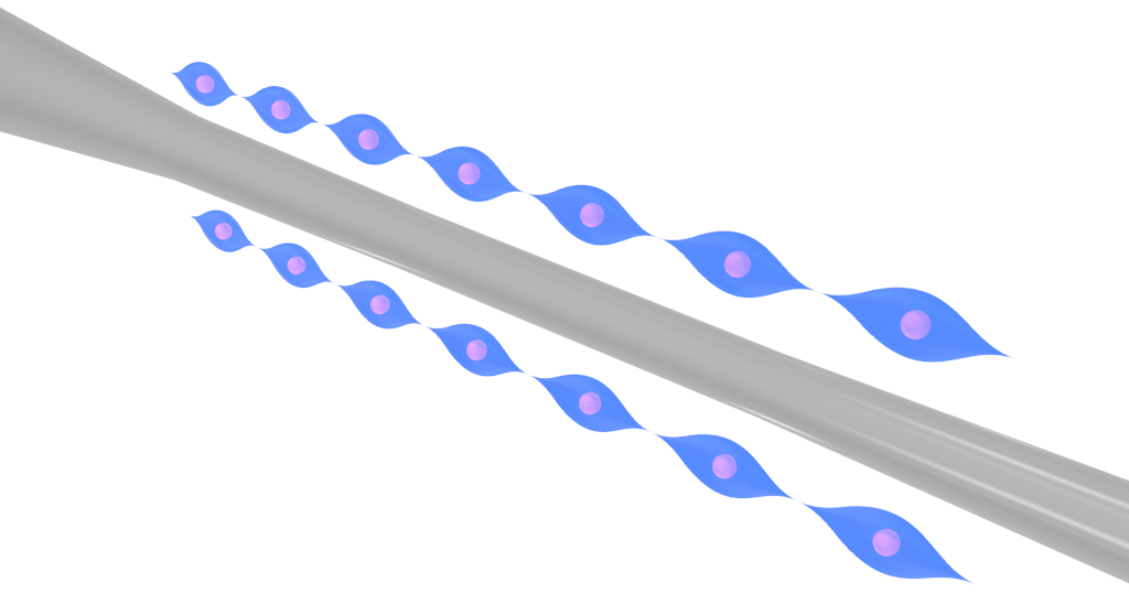 Ultracold Strontium on&nbsp;Nanofibers